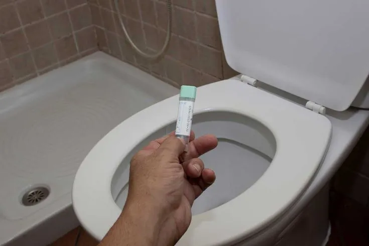 Stool Routine Test